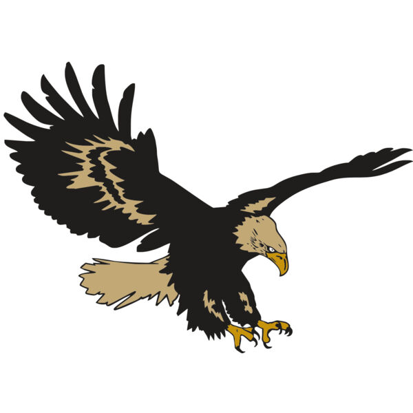 AR EAGLE 47 RC Thumbnail