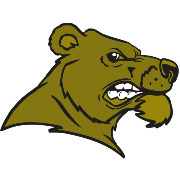 AR BEAR 11 RC Thumbnail