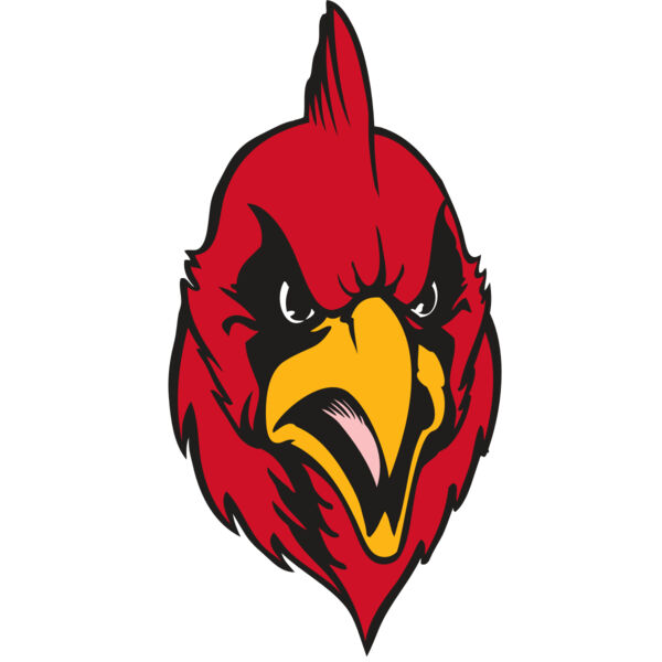 BAW CARDINAL 11 RC Thumbnail