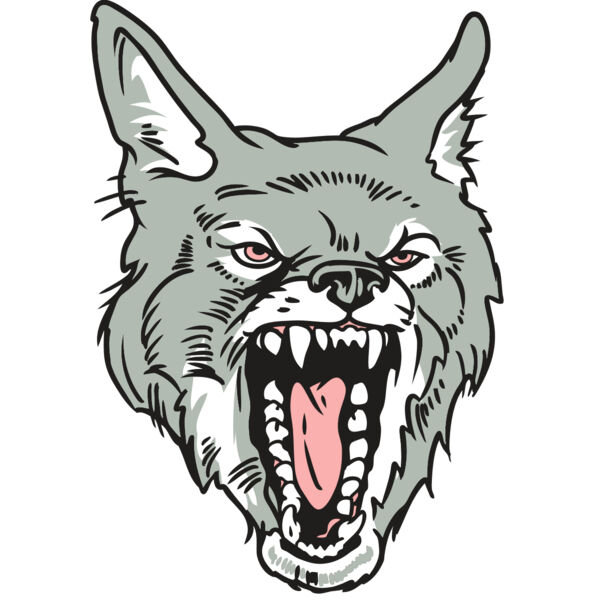 AR32 COYOTE 11 RQC Thumbnail