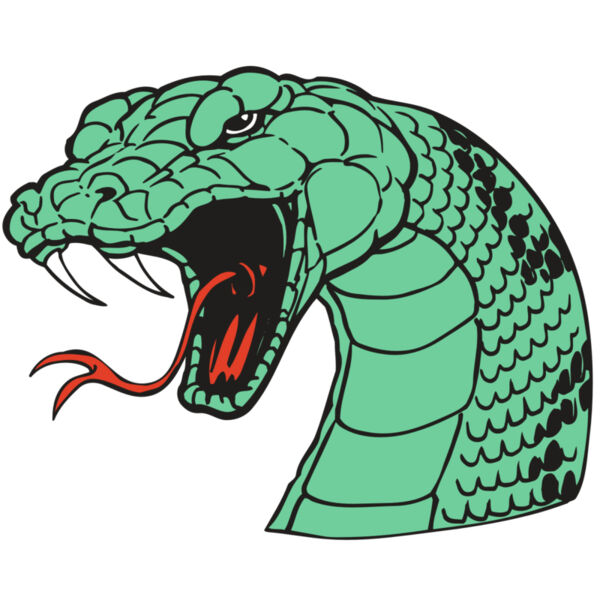 AR SNAKE 10 RC Thumbnail