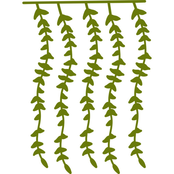 Hanging Plants 2 Thumbnail