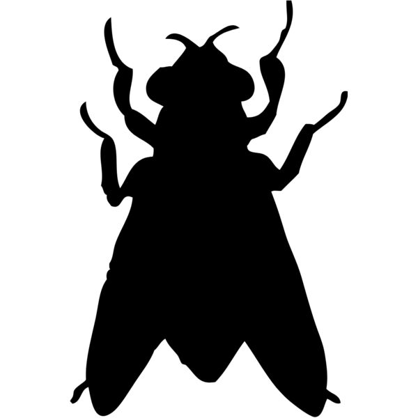 Fly Silhouette 4 Thumbnail