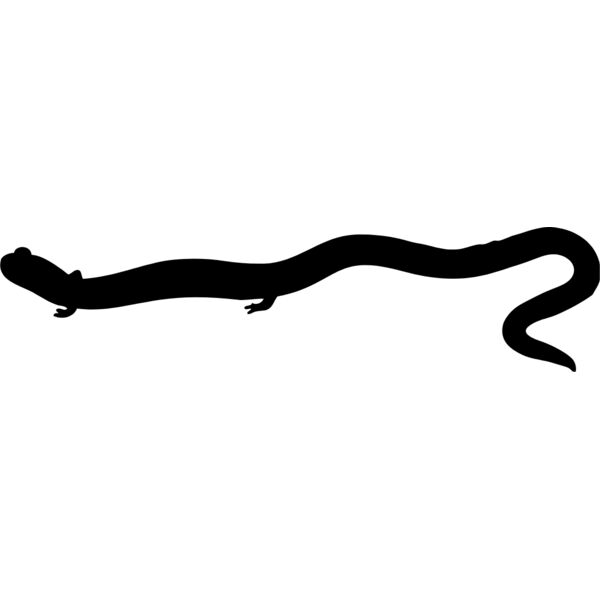 Lizard Silhouette 3 Thumbnail