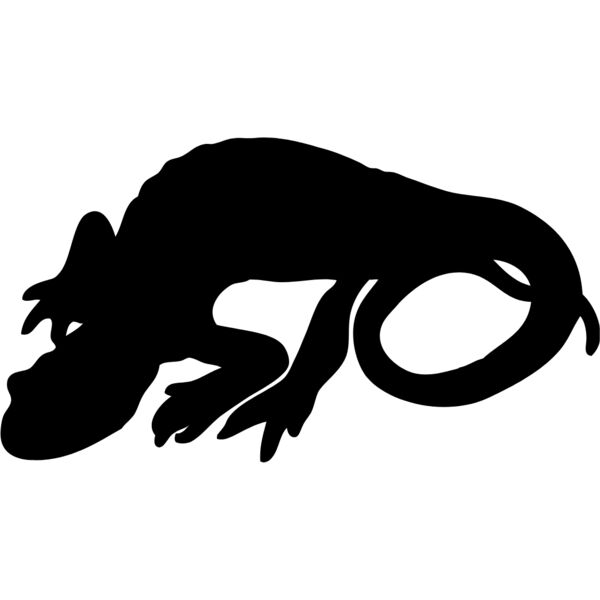 Lizard Silhouette 17 Thumbnail