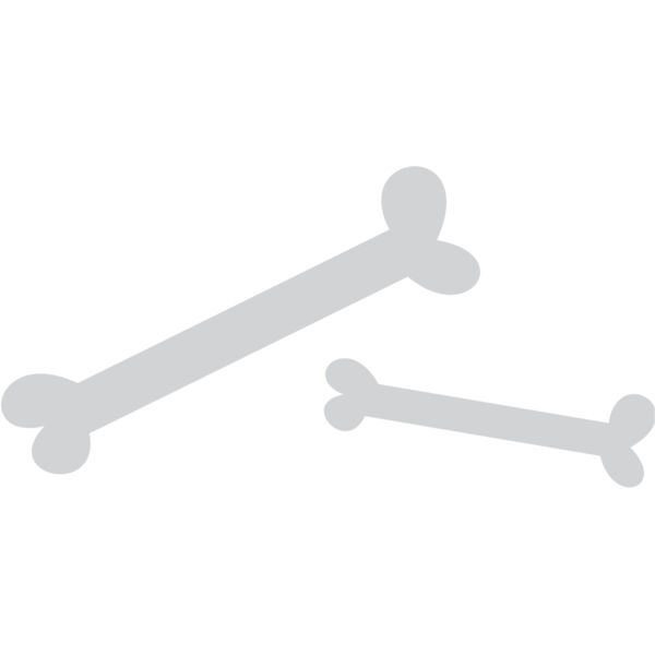 Cartoon Dinosaur Bones 1 Thumbnail