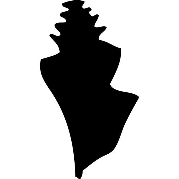 Shell Silhouette 1 Thumbnail