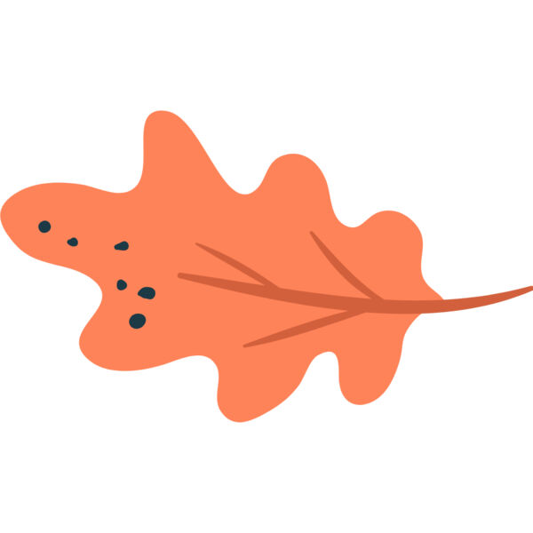 Autumn Fall Leaf 23 Thumbnail