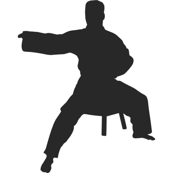 Martial Arts Fighter Silhouette 12 Thumbnail