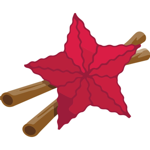 Christmas Star Cinnamon 1 Thumbnail