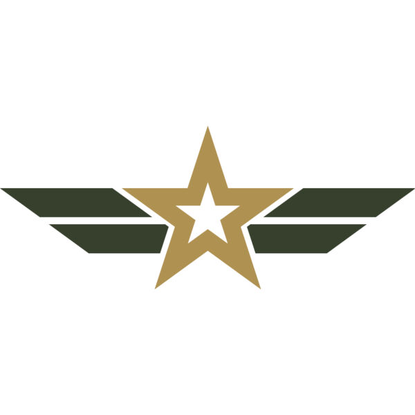 Military Star Wings Emblem 2 Thumbnail